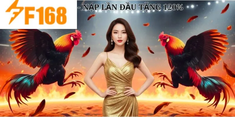 การแข่งขันไก่ชนสด Thomo C3 มีความน่าเชื่อถือและยุติธรรม